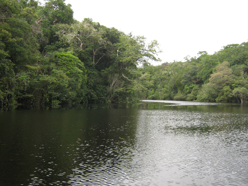Los Recursos Naturales Del Amazonas Donde Viajar